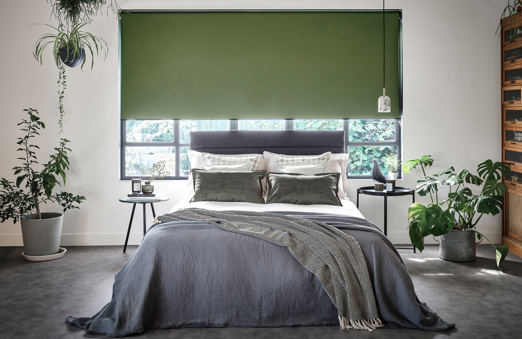 Rullegardin Markisemannen Februar