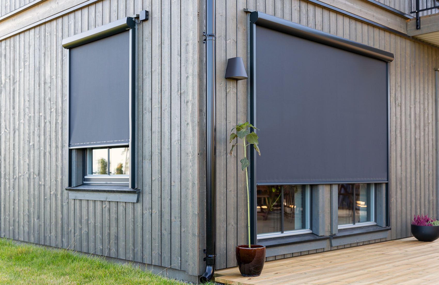 Screens Black Friday